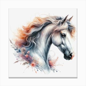 Horse Head 6 Canvas Print