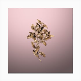 Gold Botanical Evergreen Oak on Rose Quartz Canvas Print