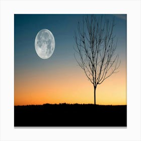 Full Moon In The Sky Canvas Print