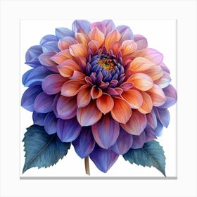 Dahlia 9 Canvas Print