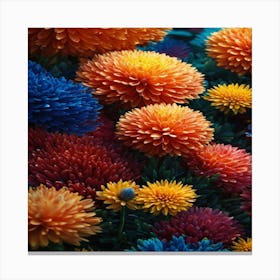 Chrysanthemums Canvas Print