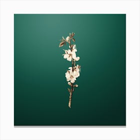Gold Botanical Peach Flower on Dark Spring Green Canvas Print