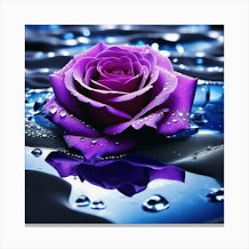 Purple Rose With Water Droplets Canvas Print