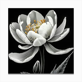 White Peony Canvas Print