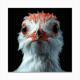 Portrait Of A Bird Canvas Print