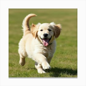 Golden Retriever Puppy Running 2 Canvas Print