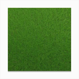Green Grass 14 Canvas Print