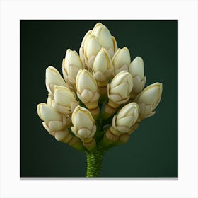 White Flower Canvas Print