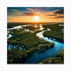 Everglades Canvas Print