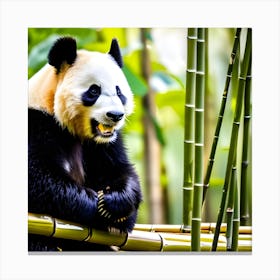 Panda Bear In Bamboo Forest 2 Canvas Print