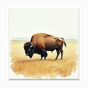 Bison Canvas Print