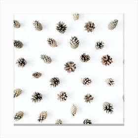 Pine Cones Canvas Print