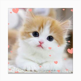 Cute Kitten With Hearts Canvas Print