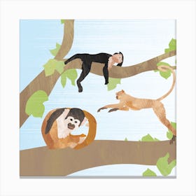 Happy Monkeys Canvas Print