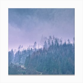 Morning Forest Square Canvas Print