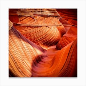 Firefly Fluid Curves Of Erosion In Sandstone Canyon 69965 Canvas Print