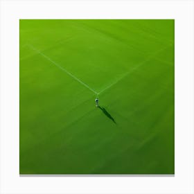 Lawn Green Grass Line Drone Person Surface Field Descending Adult Day Greenery Sharpened (3) Canvas Print