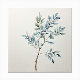 Eucalyptus Canvas Print