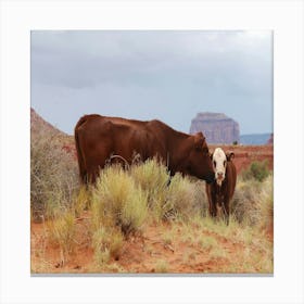 The Cow Canvas Print