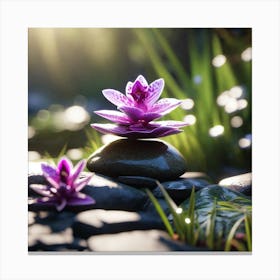 Lotus Flower 6 Canvas Print