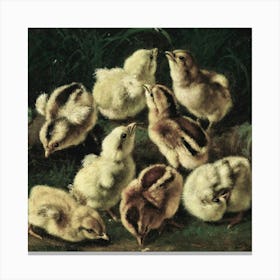 Chicks 1 Canvas Print