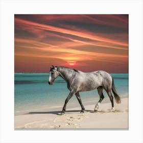Horse On The Beach At Sunset 1 Canvas Print