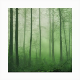 Misty Forest 1 Canvas Print