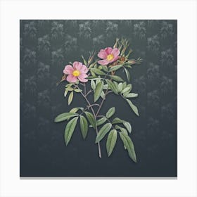 Vintage Pink Swamp Roses Botanical on Slate Gray Pattern n.1445 Canvas Print