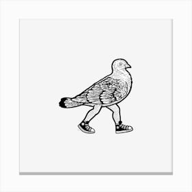 Pigeon 1 Canvas Print