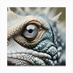 Close Up Of Lizard 4 Canvas Print