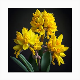 Yellow Daffodils 1 Canvas Print