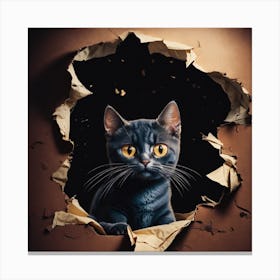 Cat Through A Hole Canvas Print