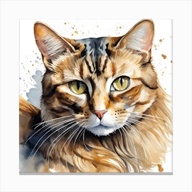 Watercolor Of A Cat Canvas Print