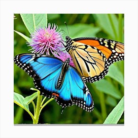 Monarch Butterflies Canvas Print