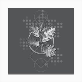 Vintage Hungarian Oak Botanical with Line Motif and Dot Pattern in Ghost Gray n.0097 Canvas Print