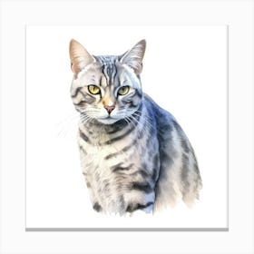 Egyptian Mau Cat Portrait 1 Canvas Print