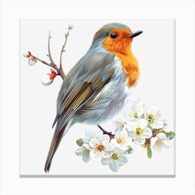 Robin 1 Canvas Print