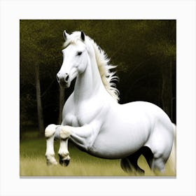 White Horse Galloping Canvas Print