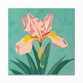 Iris 3 Square Flower Illustration Canvas Print