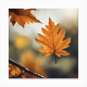 Autumn Leaf 13 Canvas Print