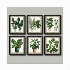 Set Of Six Botanical Framed Prints Canvas Print