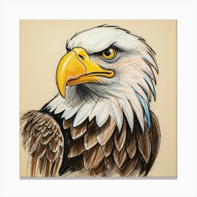 Bald Eagle 17 Canvas Print