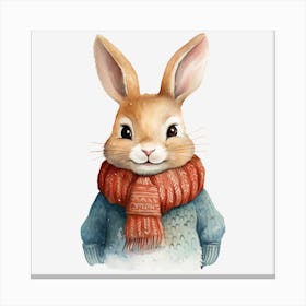Rabbit In A Scarf 3 Canvas Print