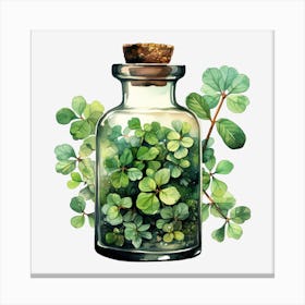 Shamrocks In A Bottle Canvas Print