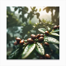 Coffee Beans On A Tree 70 Canvas Print