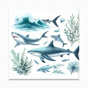 Shark Canvas Print