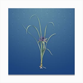 Vintage Grass Leaf Iris Botanical on Bahama Blue Pattern n.2276 Canvas Print