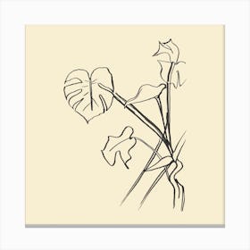 Monstera Swiss Cheese Plant Simple Canvas Print