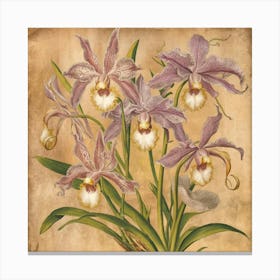 Orchids 1A stunning illustration featuring vintage orchids. Each orchid is intricately detailed, showcasing the delicate petals,vibrant colors, and intricate patterns that make them unique. Canvas Print