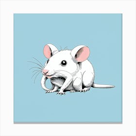 White rat Canvas Print